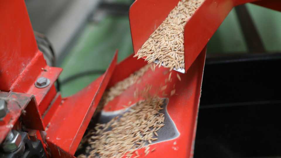 What Are The Key Issues And Challenges In Flour Mill Business India? 3 flour mill maintenance
